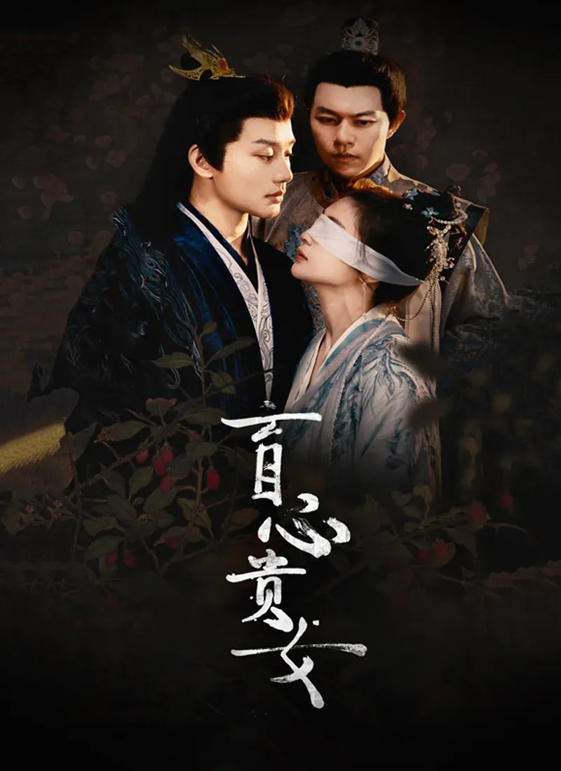 《盲心貴女》封面