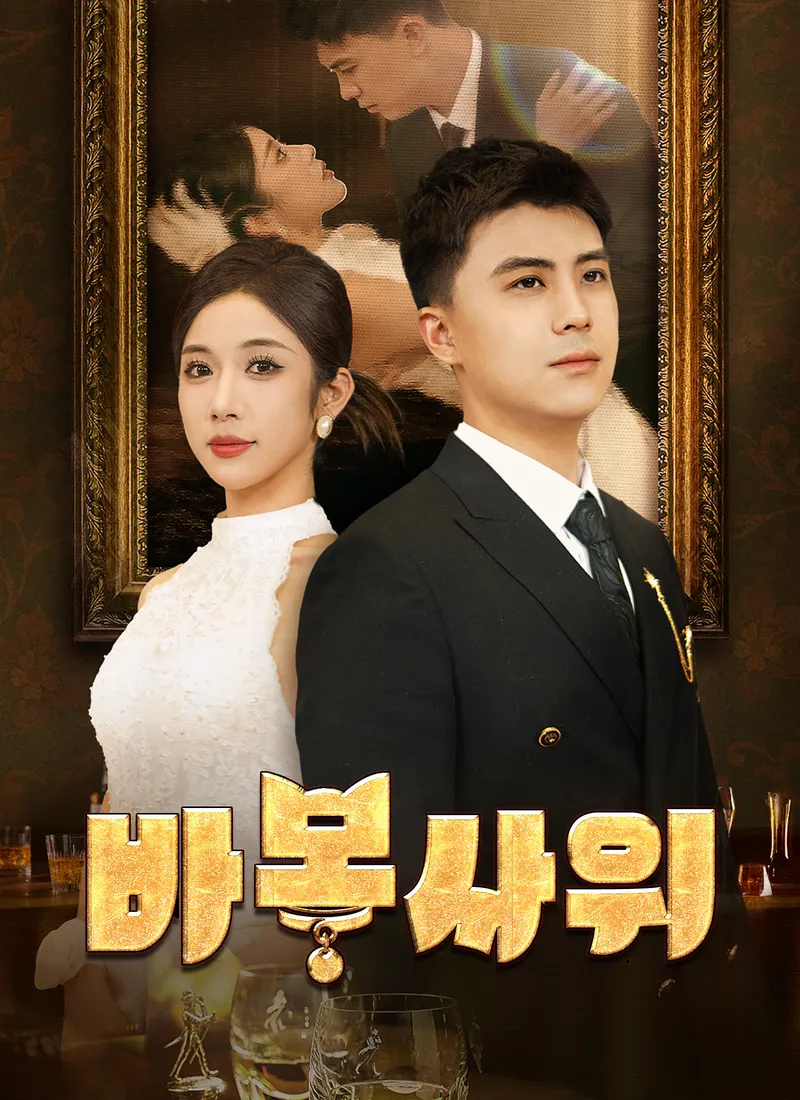 바보 사위 표지