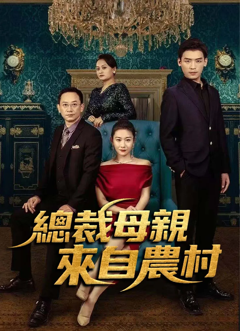 《總裁母親來自農村》封面