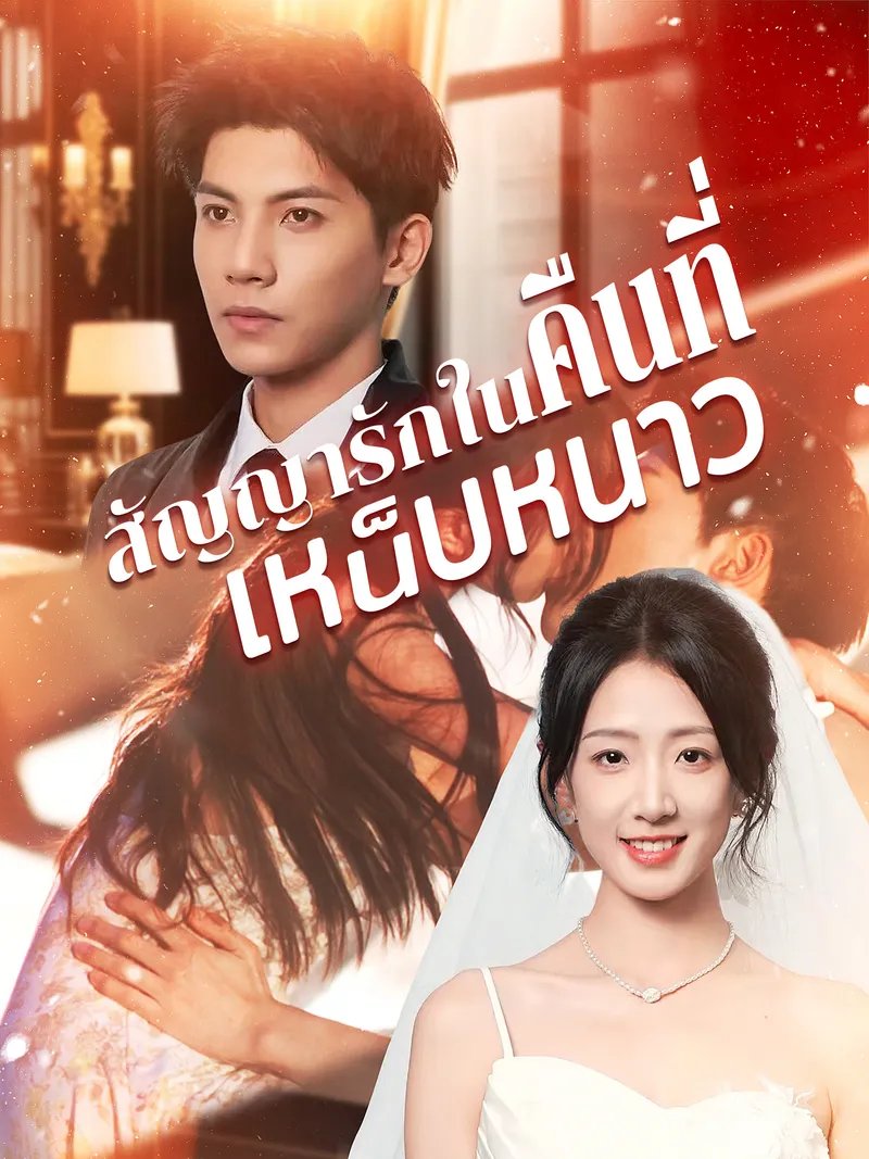 หน้าปกสัญญารักในคืนที่เหน็บหนาว