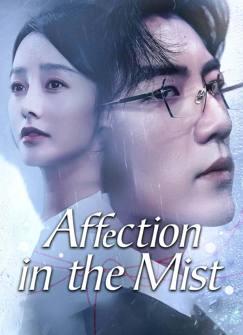Affection in the Mist cover