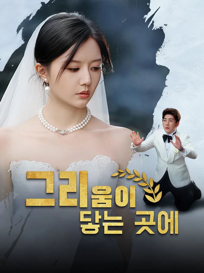 그리움이 닿는 곳에 표지