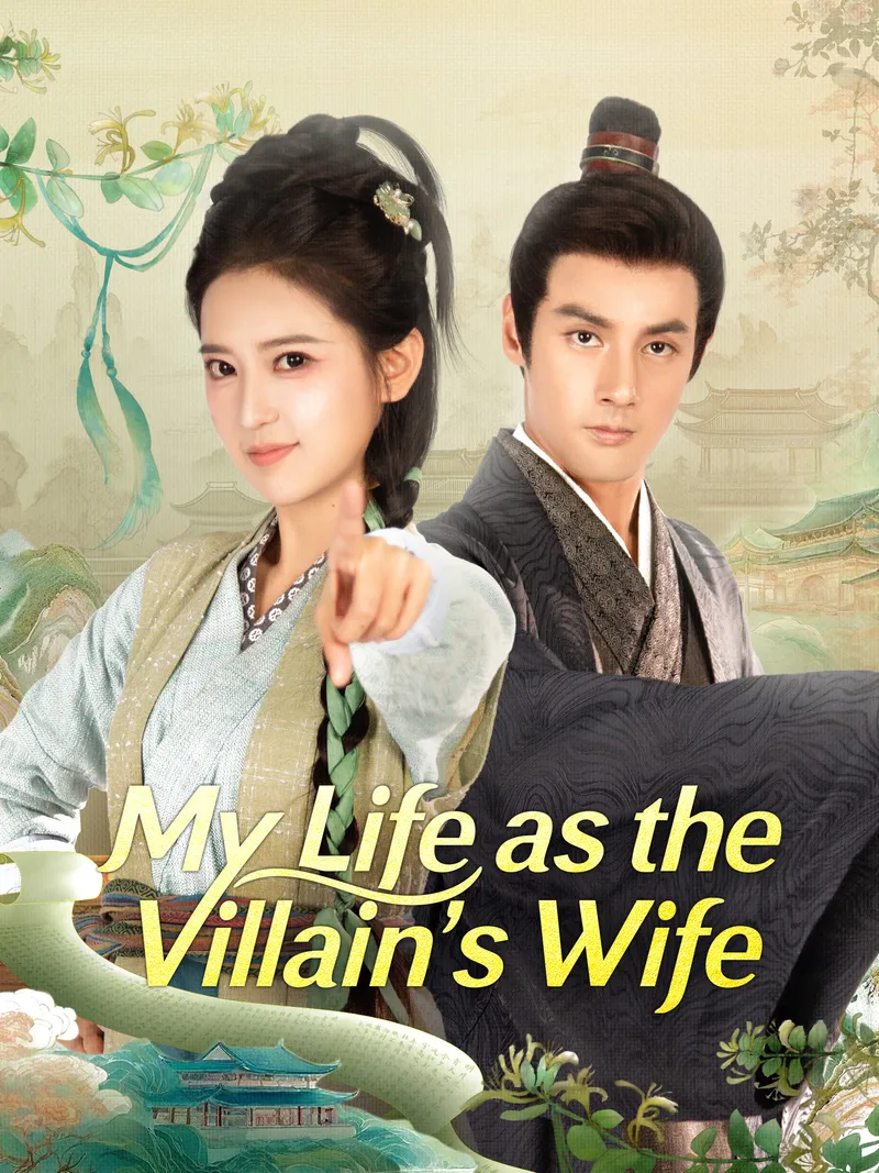My Life as the Villain's Wife cover