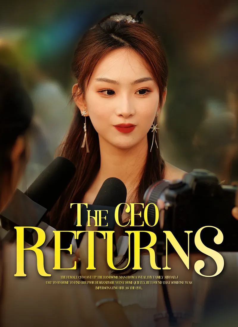 The CEO Returns cover
