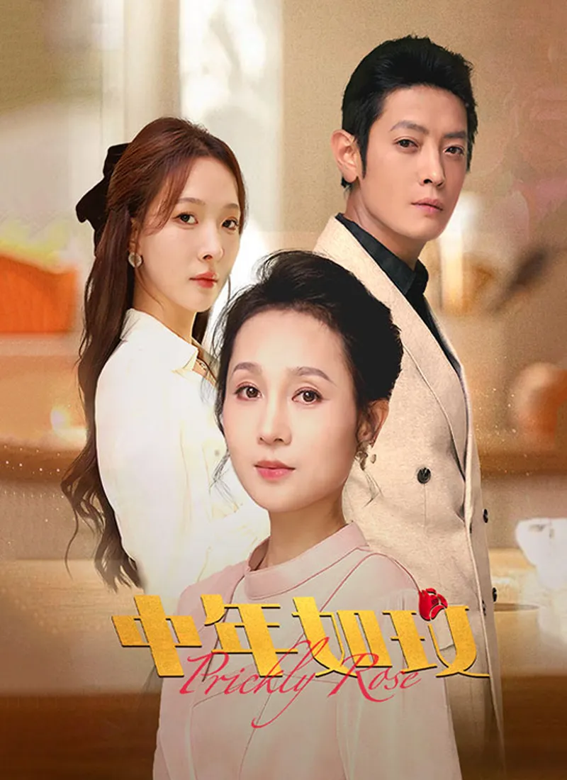 《中年如玫》封面