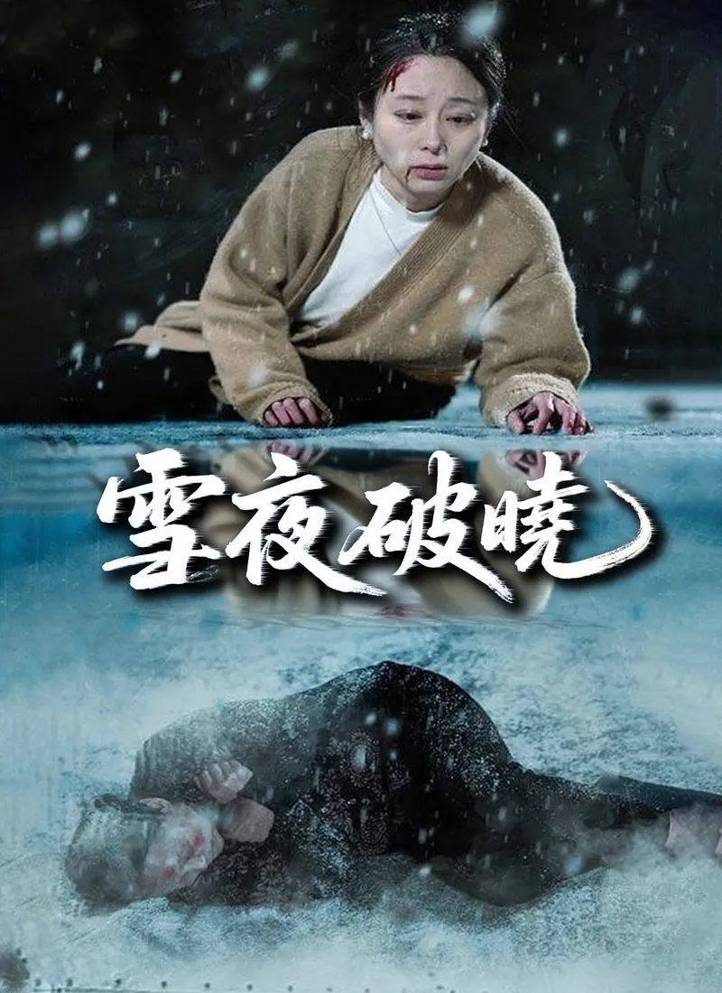 《雪夜破曉》封面