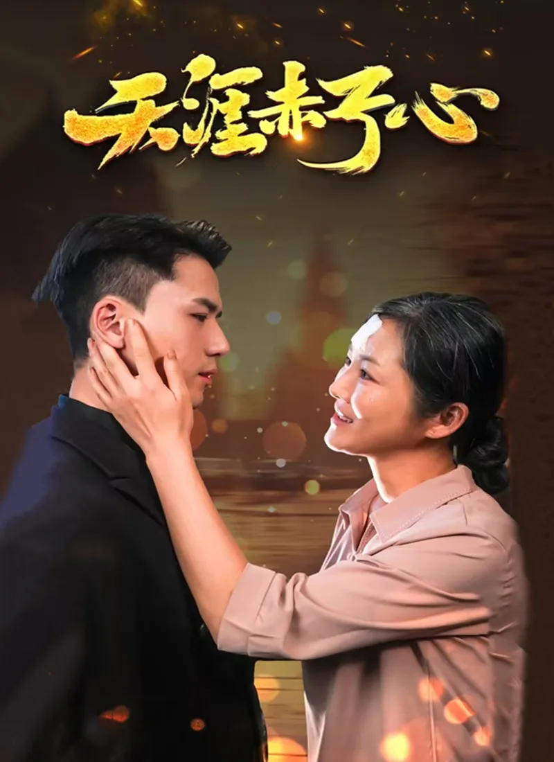 《天涯赤子心》封面