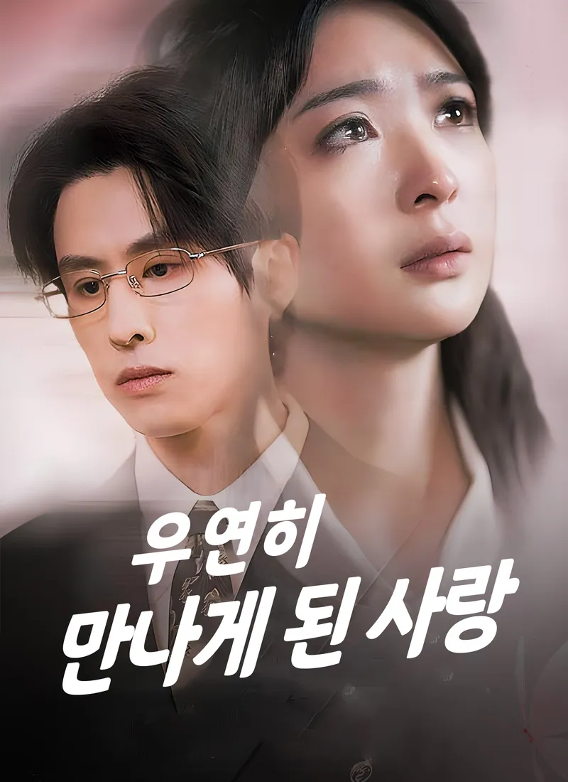 우연히 만나게 된 사랑 표지