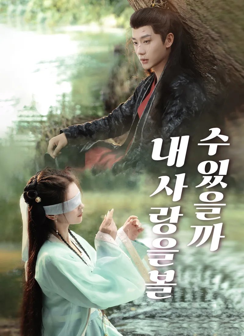 내 사랑을 볼 수 있을까 표지