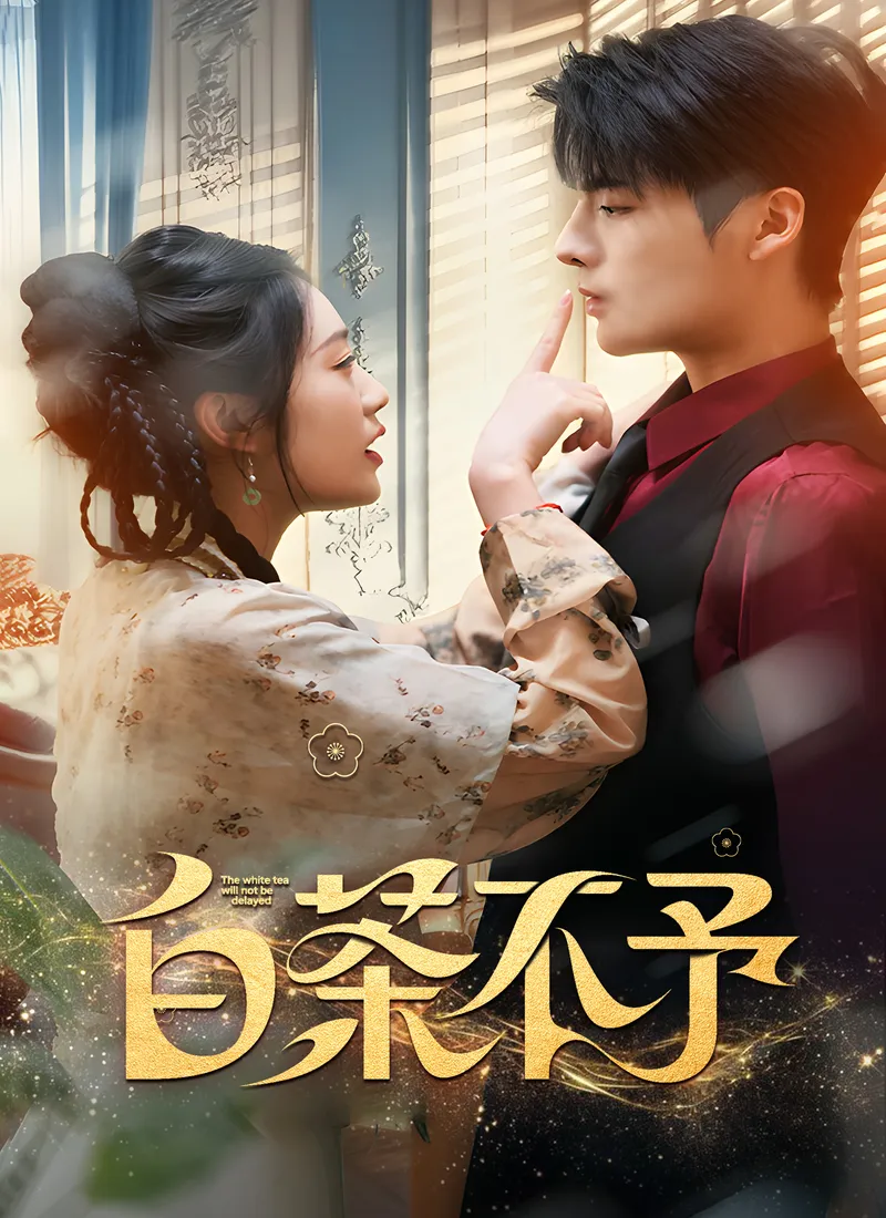 《白茶不予》封面