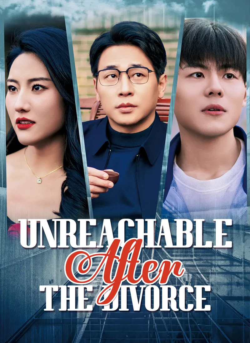 Unreachable After the Divorce cover