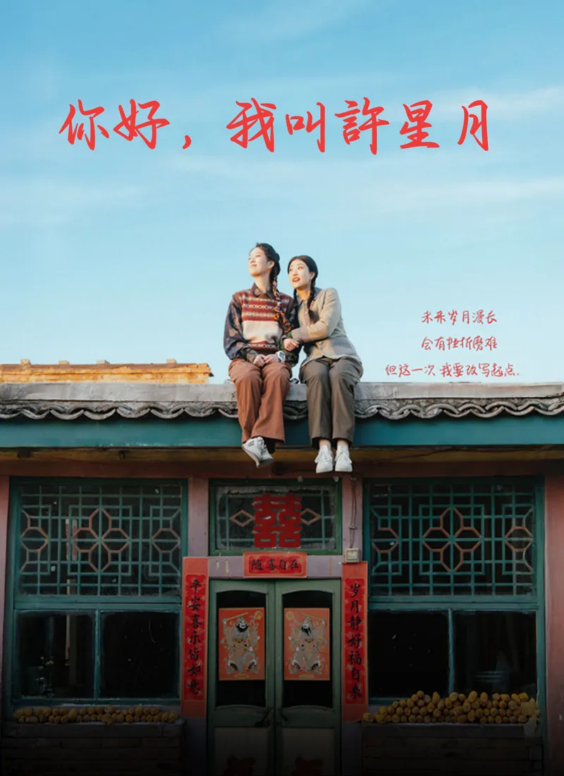 《你好，我叫許星月》封面