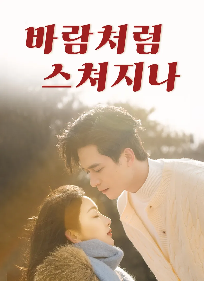 바람처럼 스쳐지나 표지