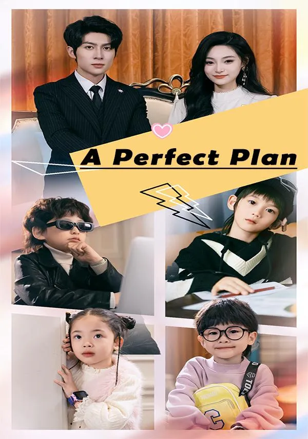 A Perfect Plan cover