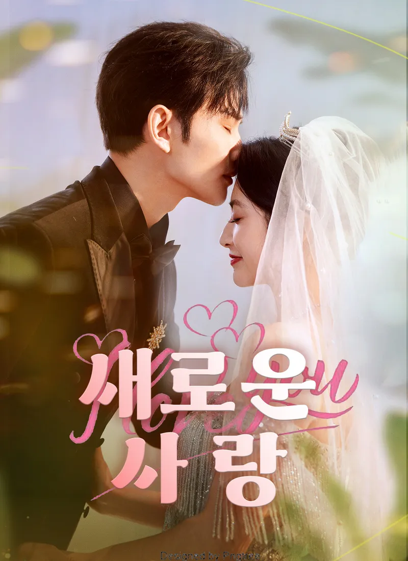 새로운 사랑 표지