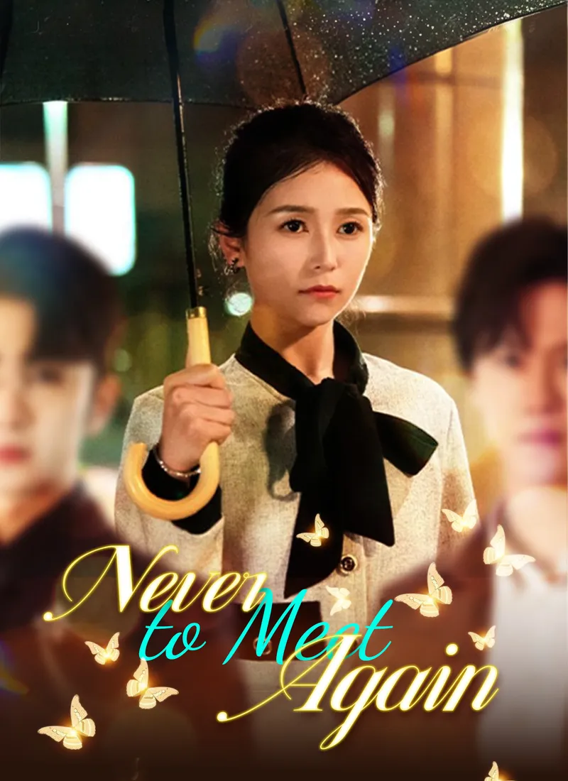 Never to Meet Again cover