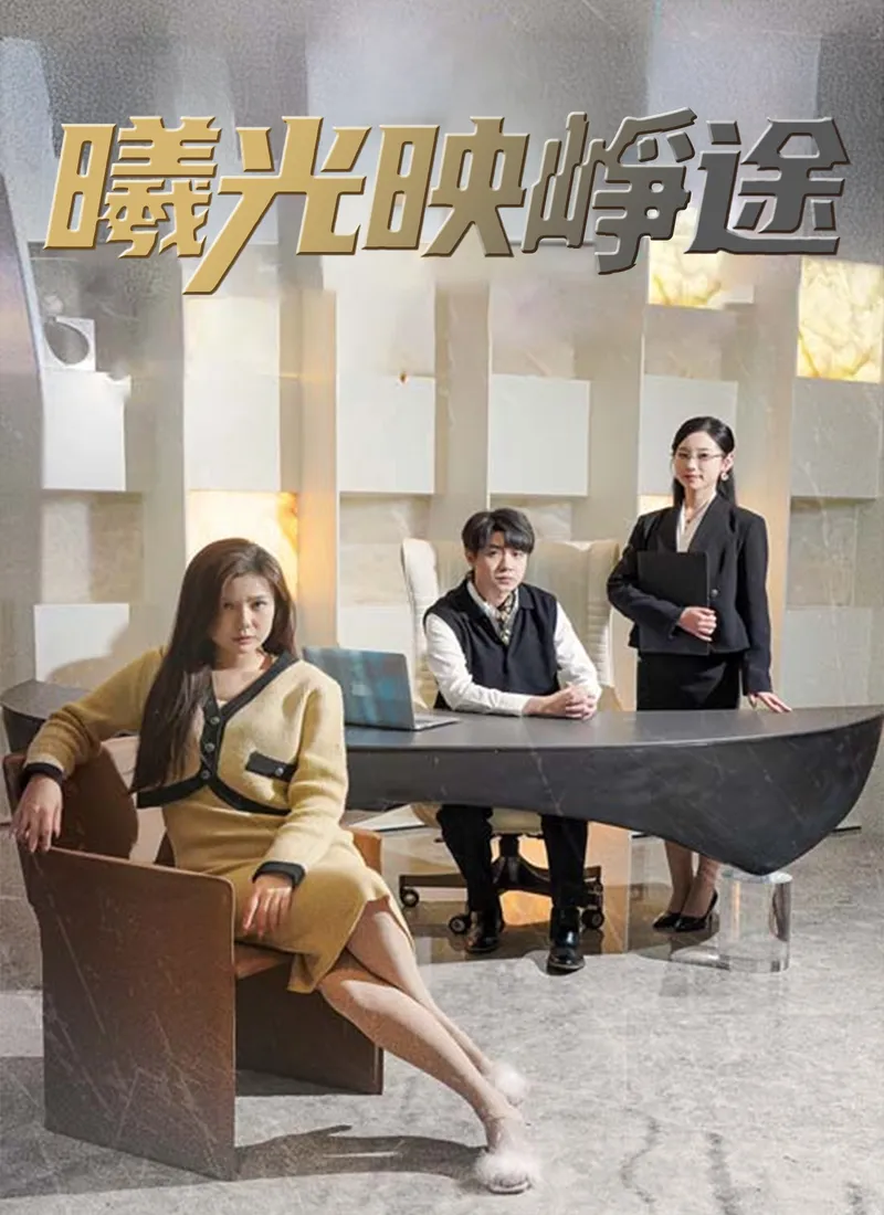 《曦光映崢途》封面