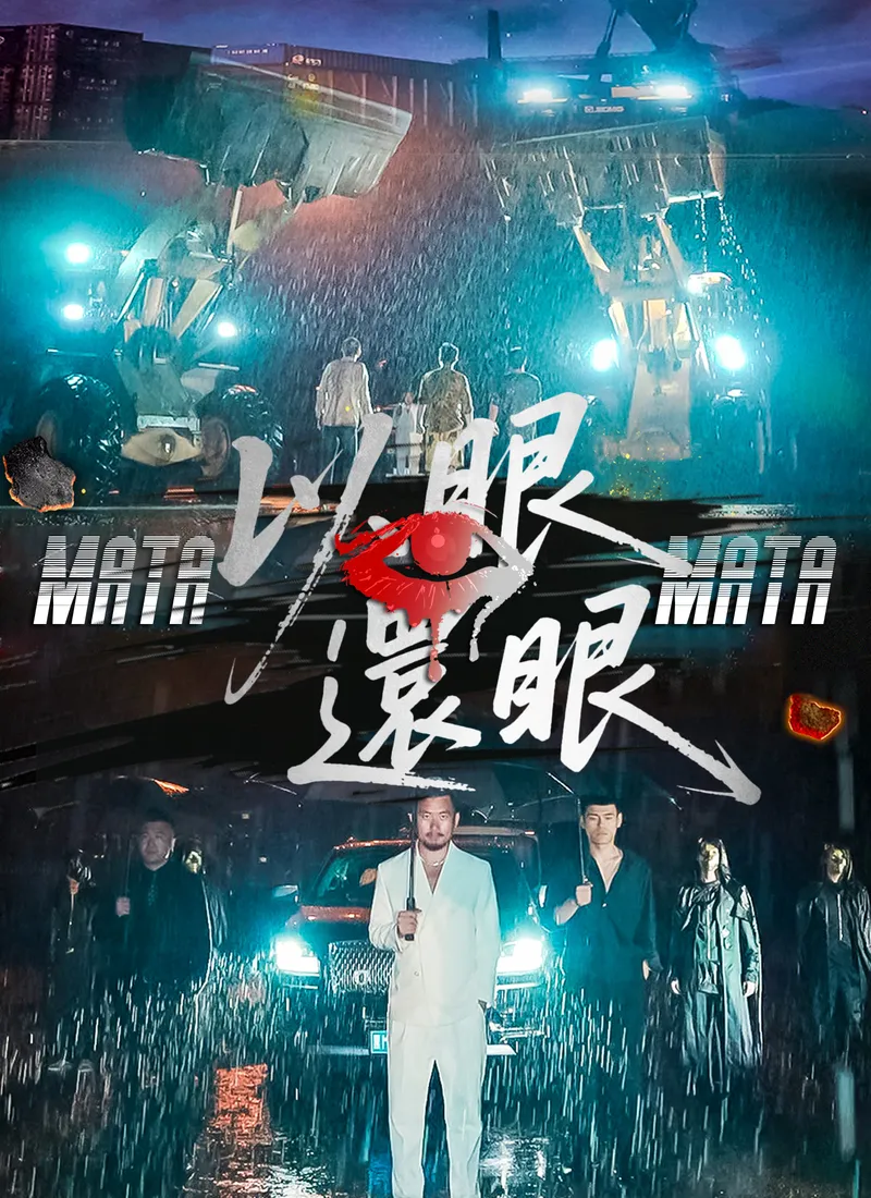 《以眼還眼》封面