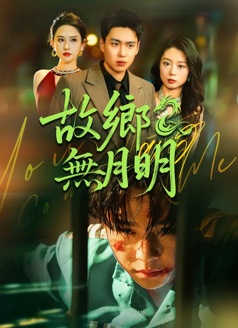 《故鄉無月明》封面
