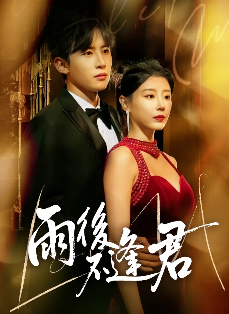 《雨後不逢君》封面