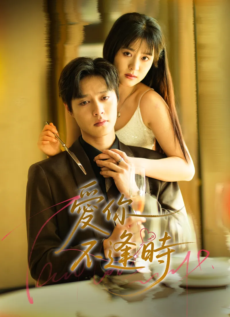 《爱你不逢時》封面