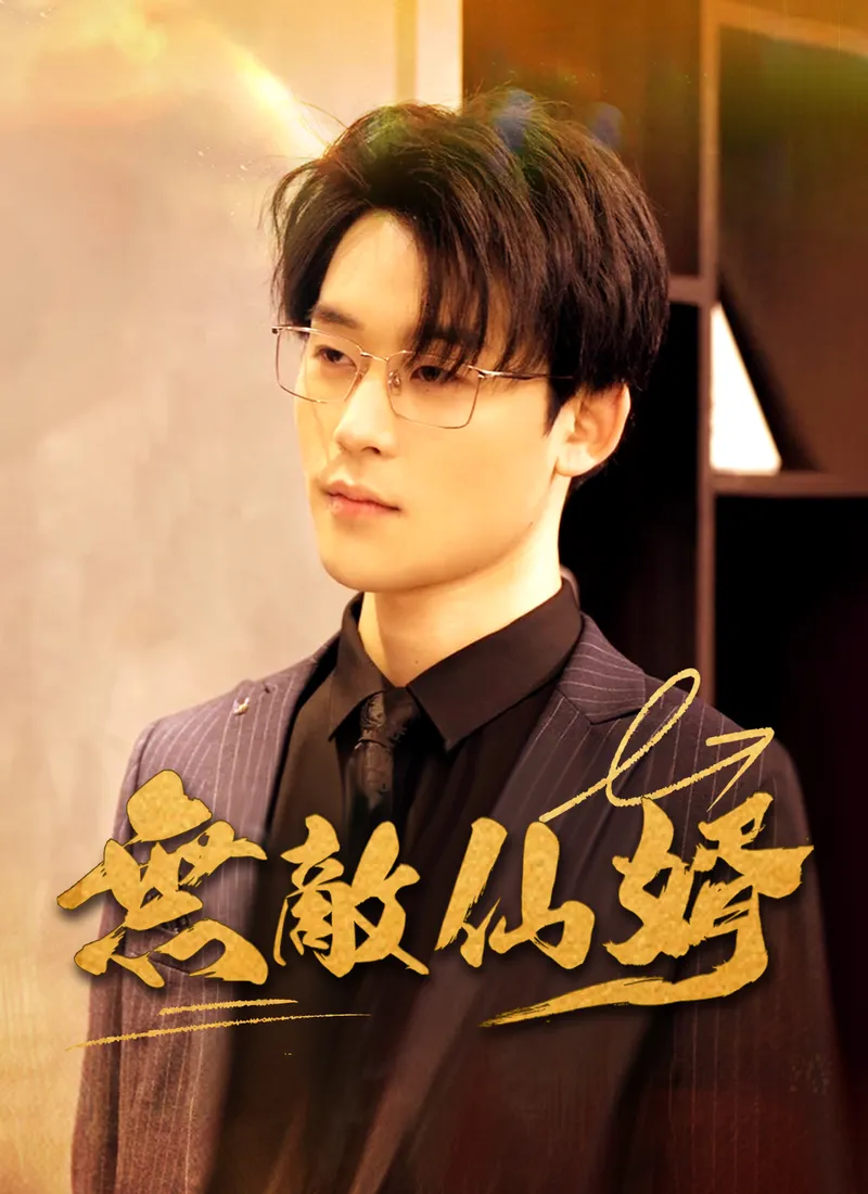 《無敵仙婿》封面