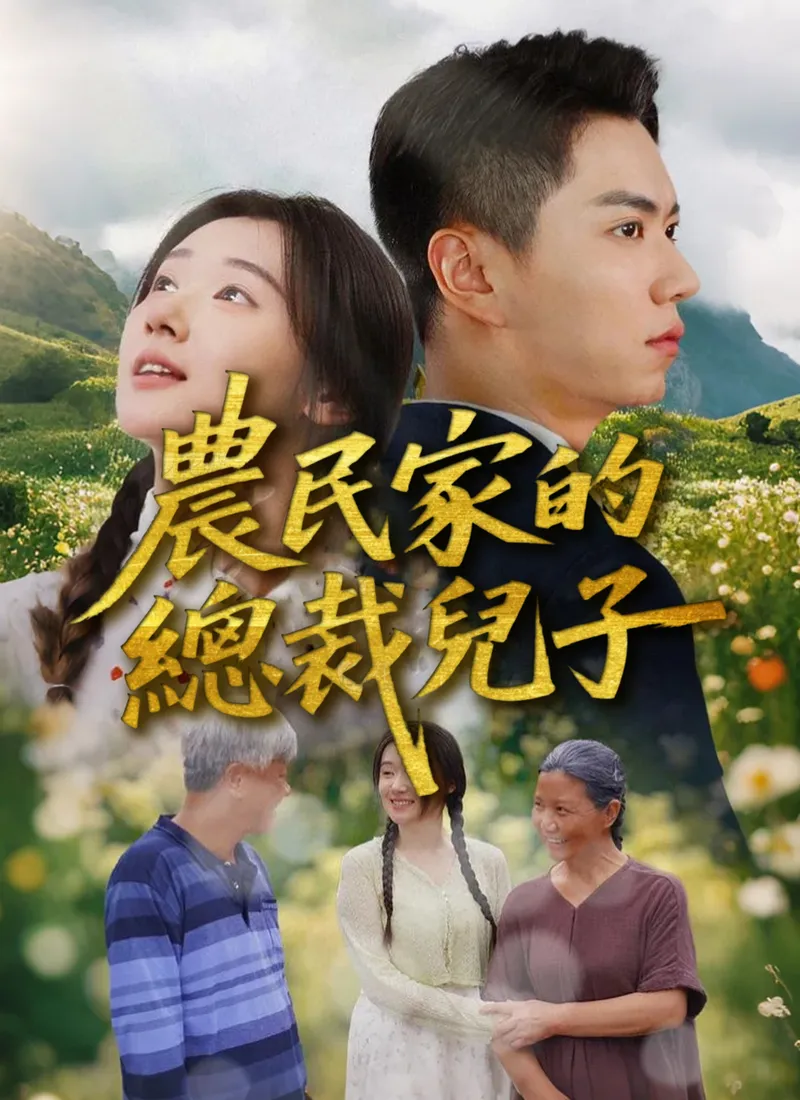《農民家的總裁兒子》封面