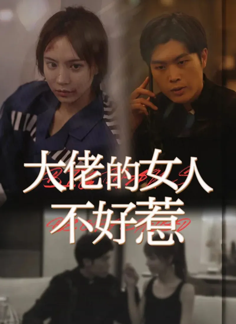 《大佬的女人不好惹》封面