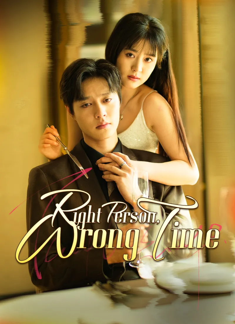 [Dubbed]Right Person, Wrong Time cover