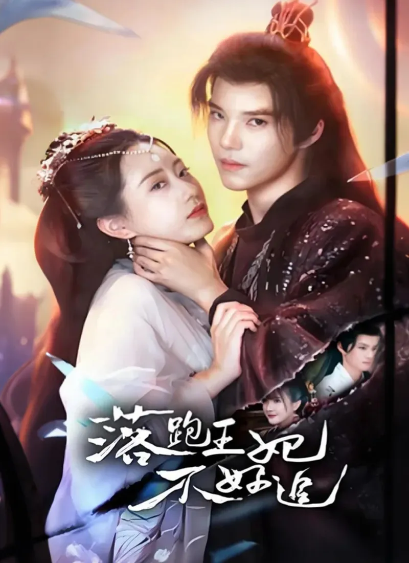 《落跑王妃不好追》封面
