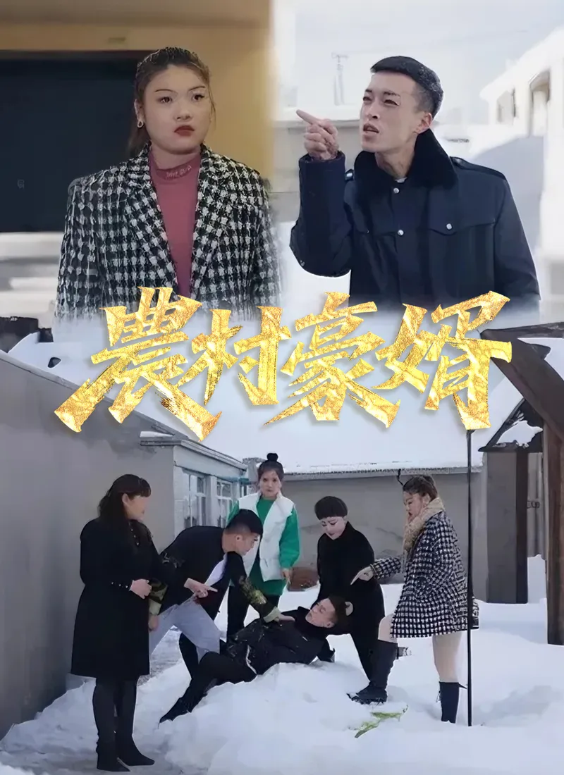 《農村豪婿》封面