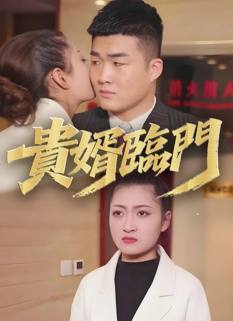 《貴婿臨門》封面