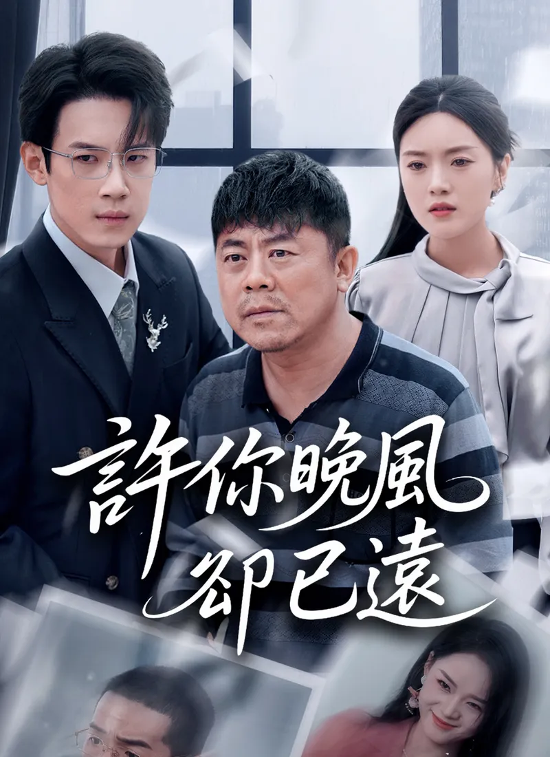 《許你晚風卻已遠》封面