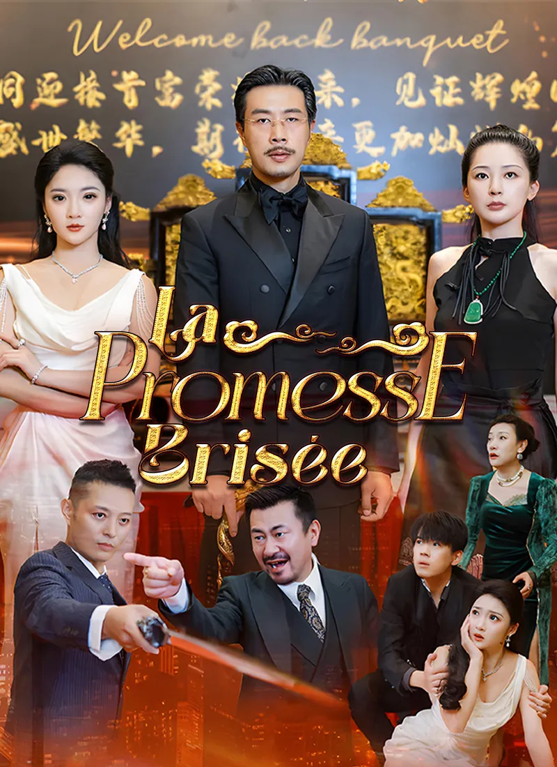 Couverture de La Promesse Brisée