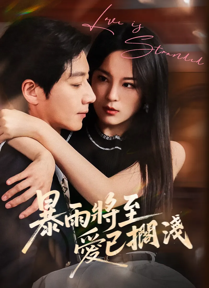 《暴雨將至，愛已擱淺》封面