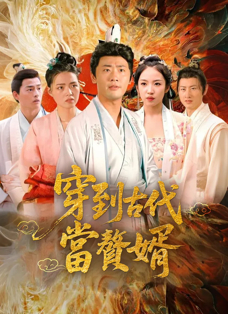 《穿到古代當贅婿》封面