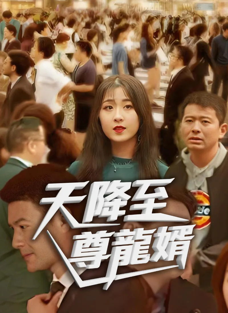 《天降至尊龍婿》封面