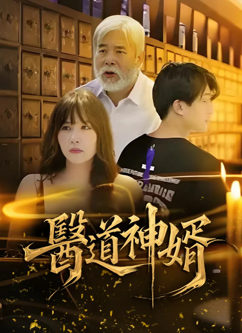 《醫道神婿》封面