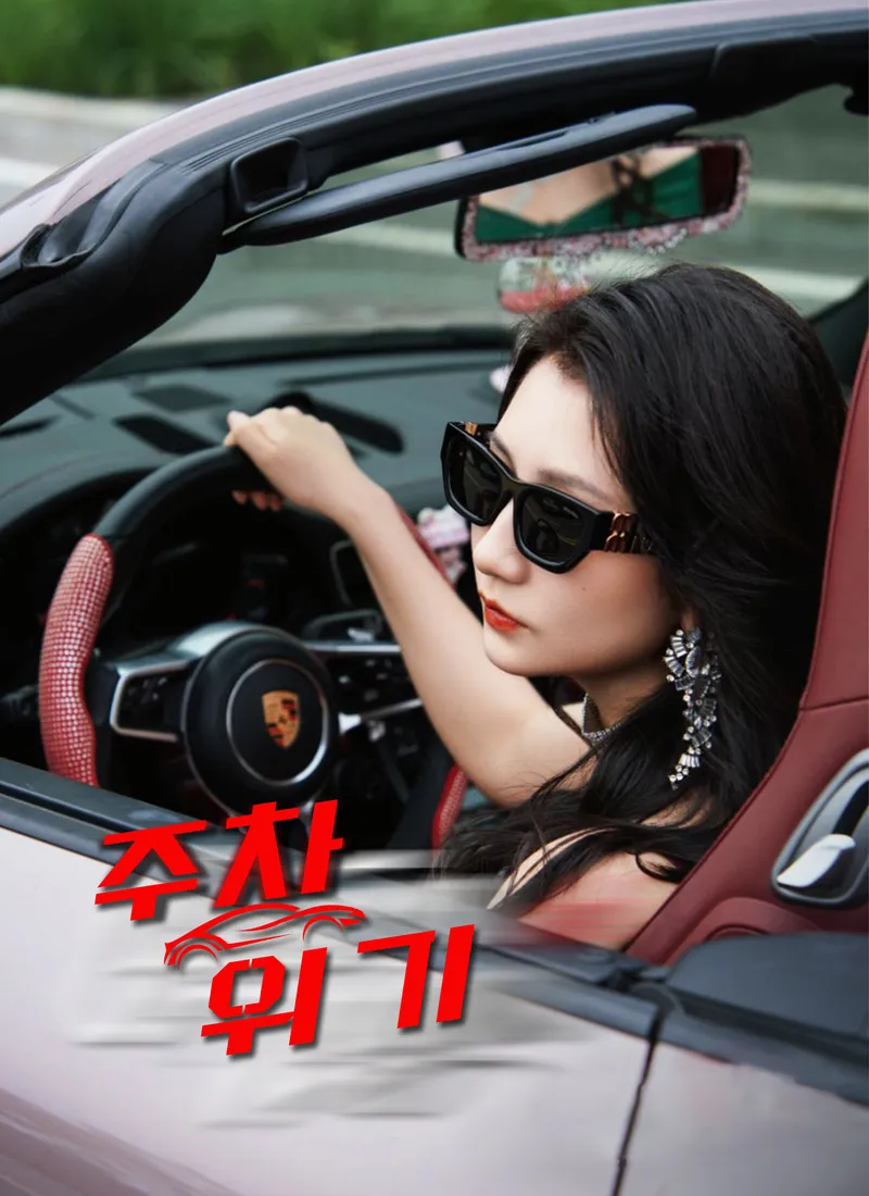 주차 위기 표지