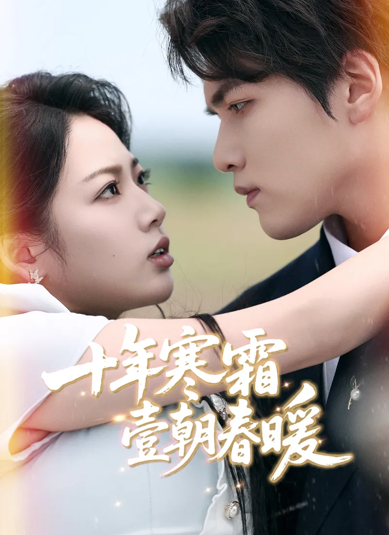 《十年寒霜壹朝春暖》封面