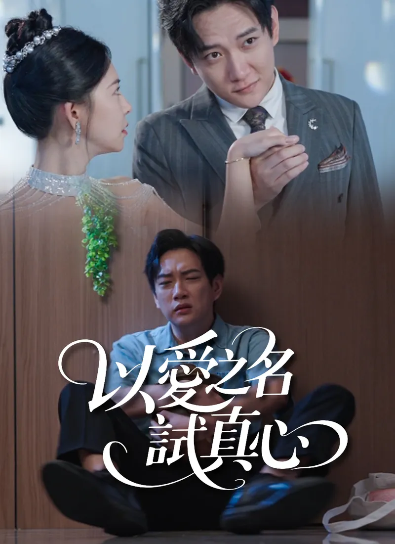 《以愛之名試真心》封面