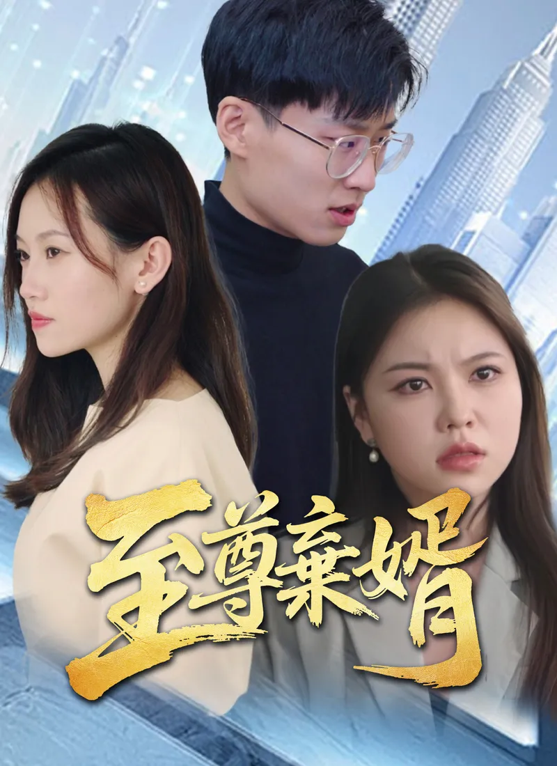 《至尊棄婿》封面