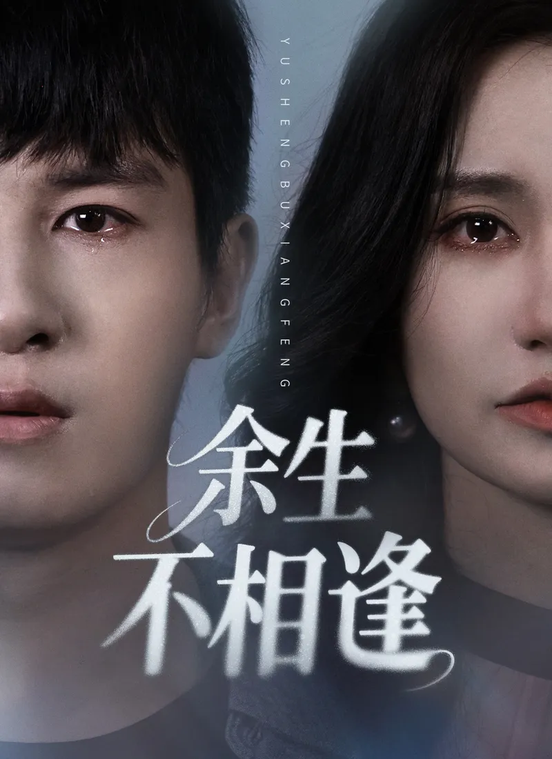 《余生不相逢》封面