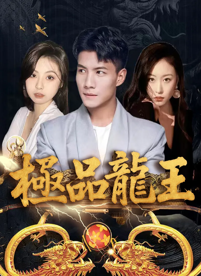 《極品龍王》封面