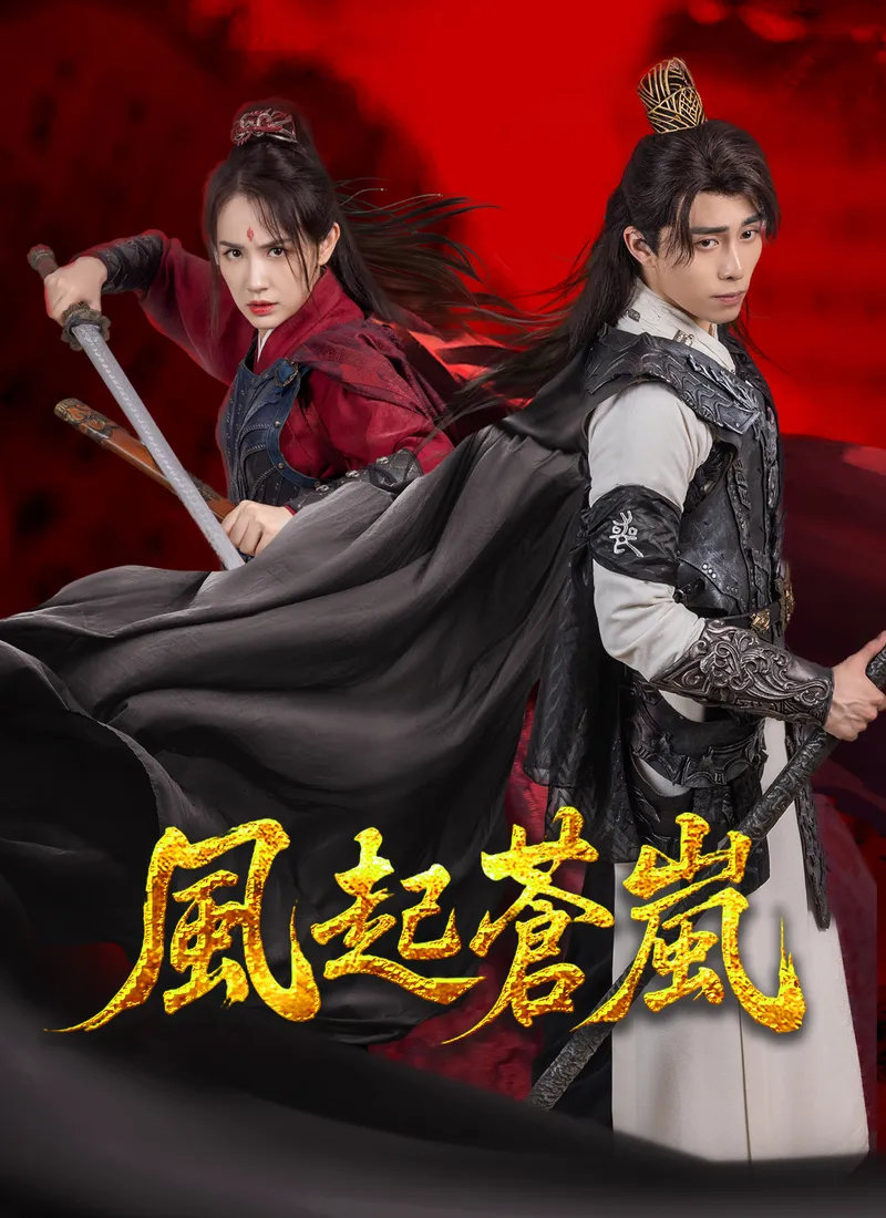 《風起蒼嵐》封面