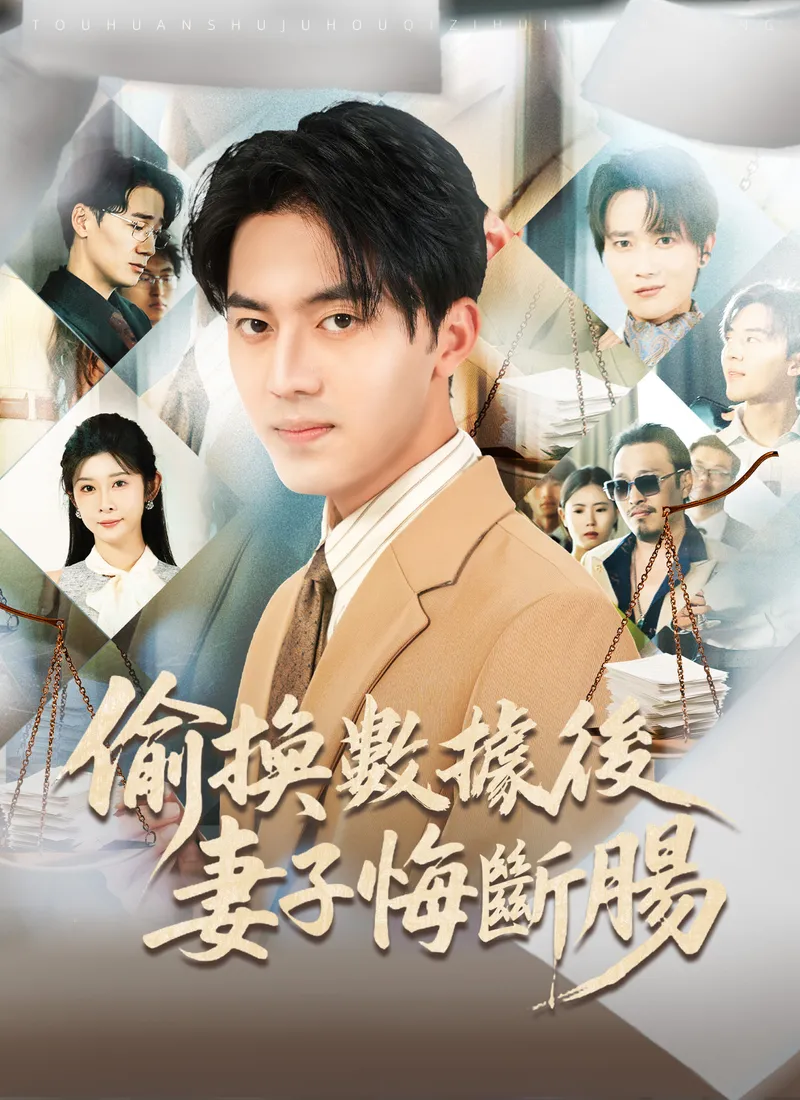 《偷換數據後妻子悔斷腸》封面