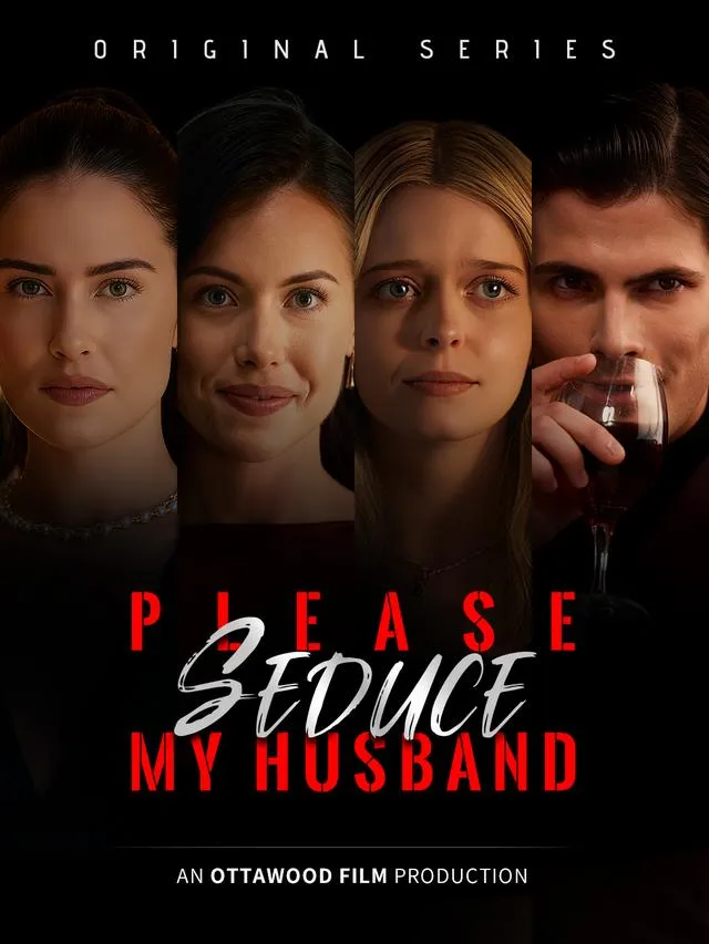 Please Seduce My Husband cover