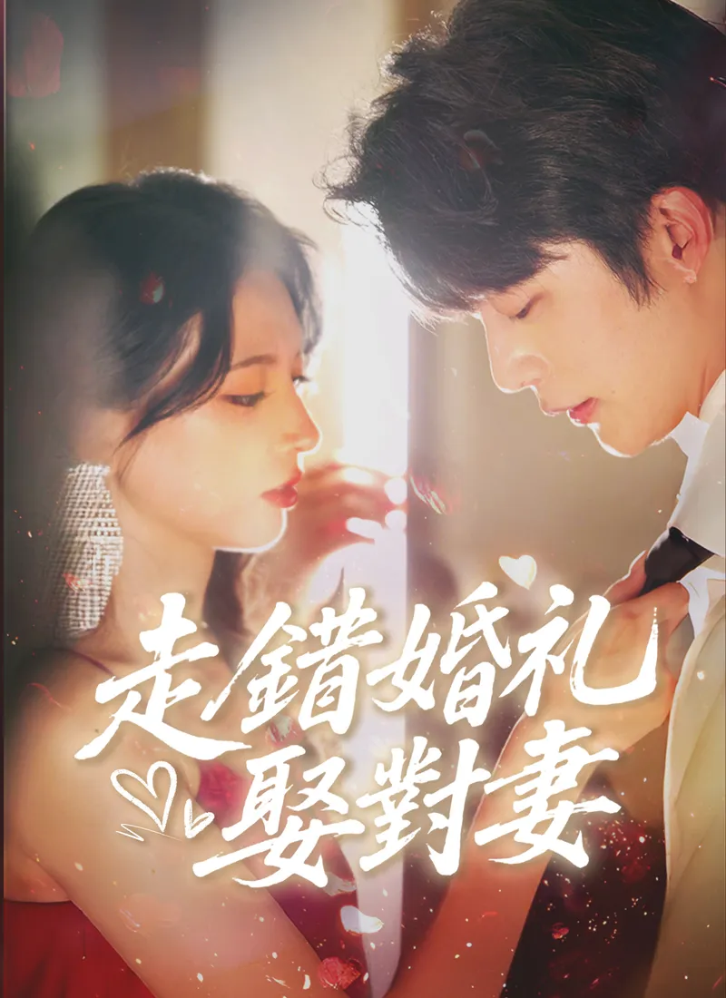 《走錯婚禮娶對妻》封面