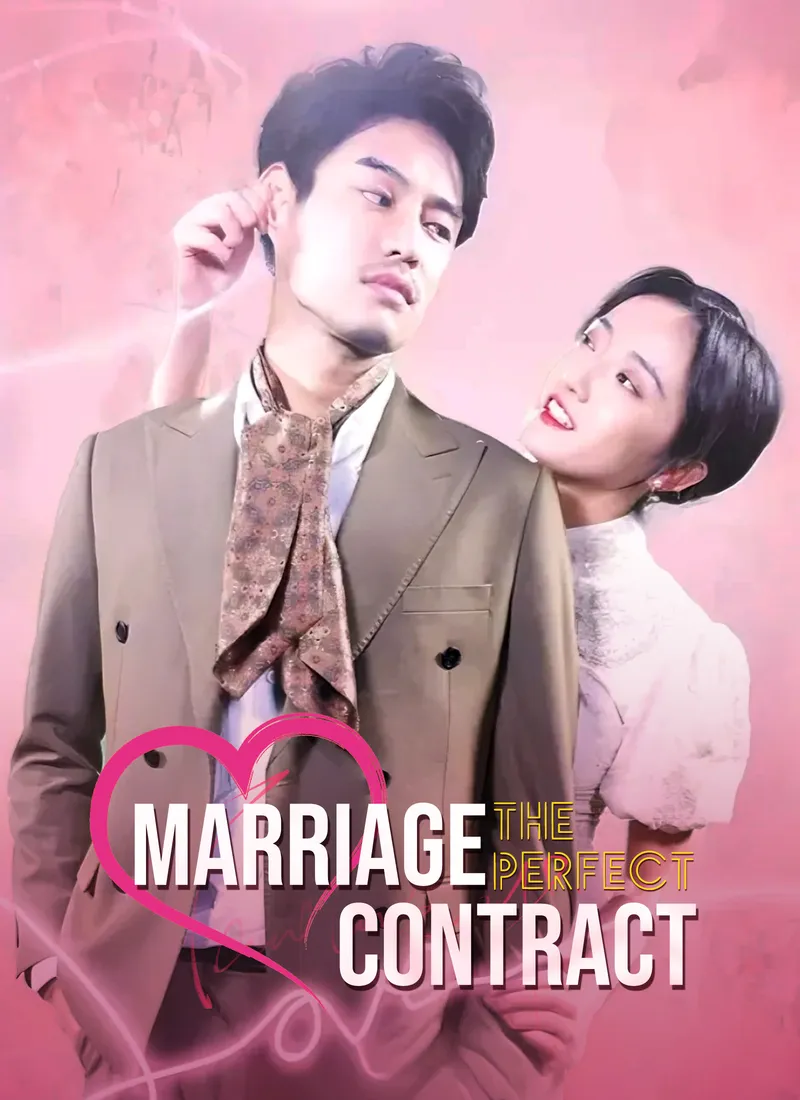 The Perfect Marriage Contract cover