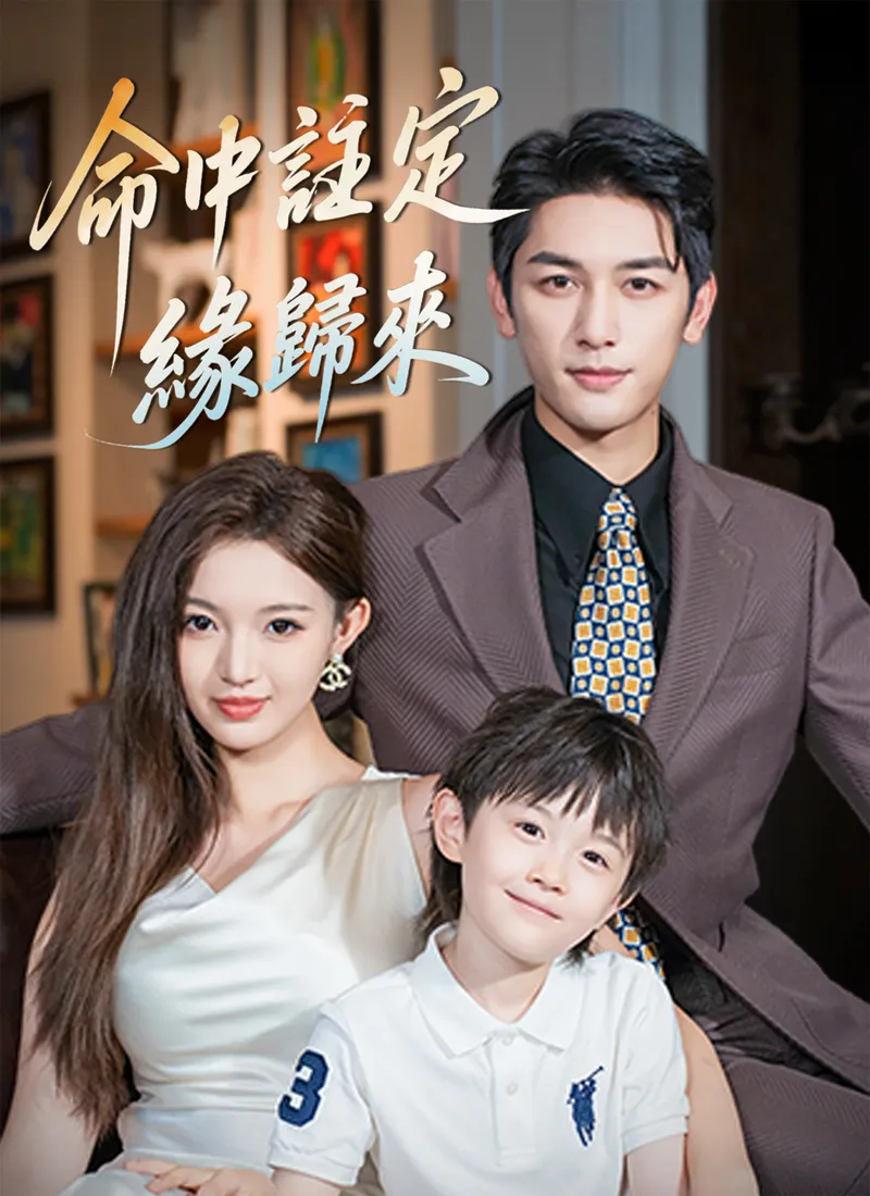 《命中註定緣歸來》封面